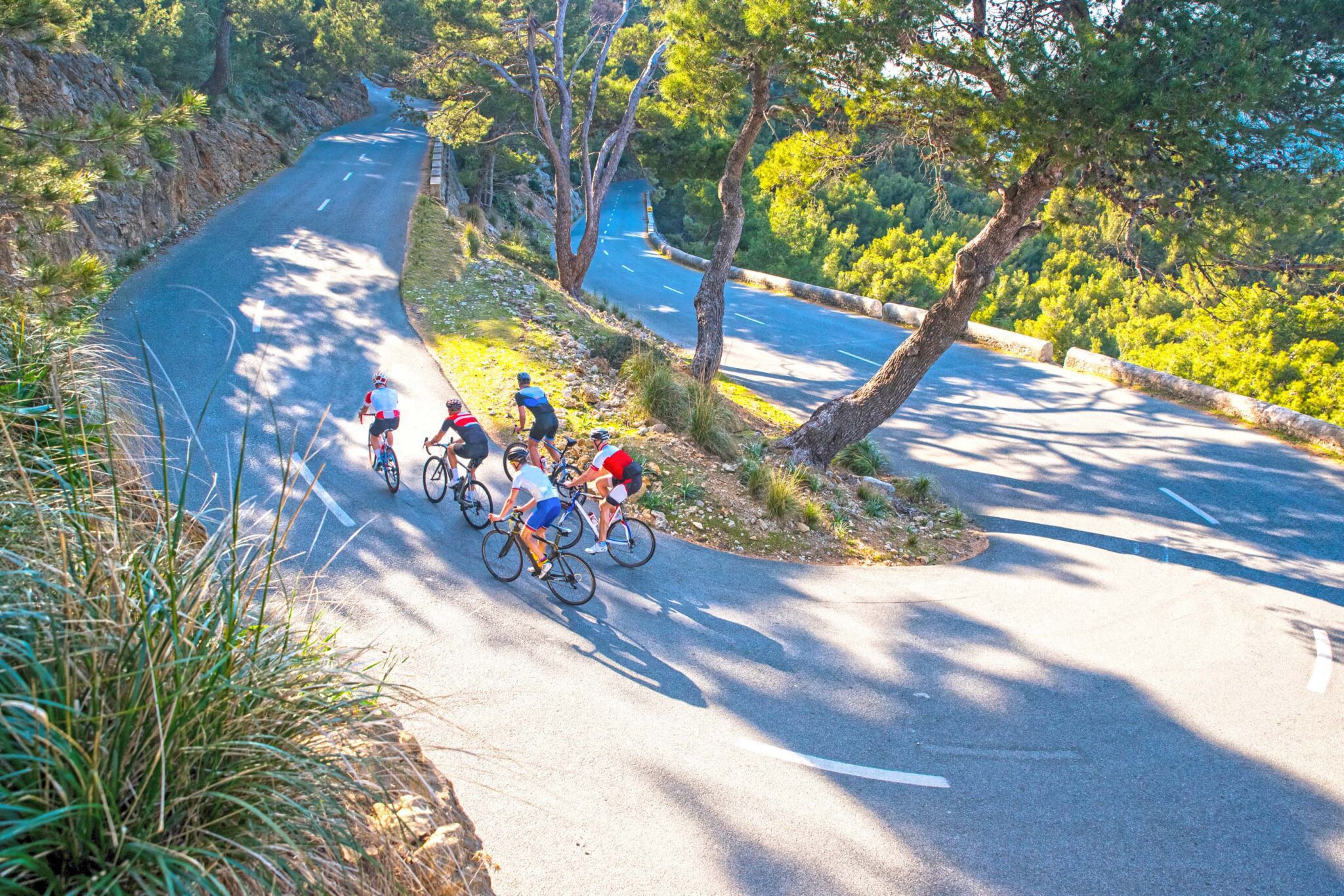 Mallorca-Cyclists-4web-scaled image