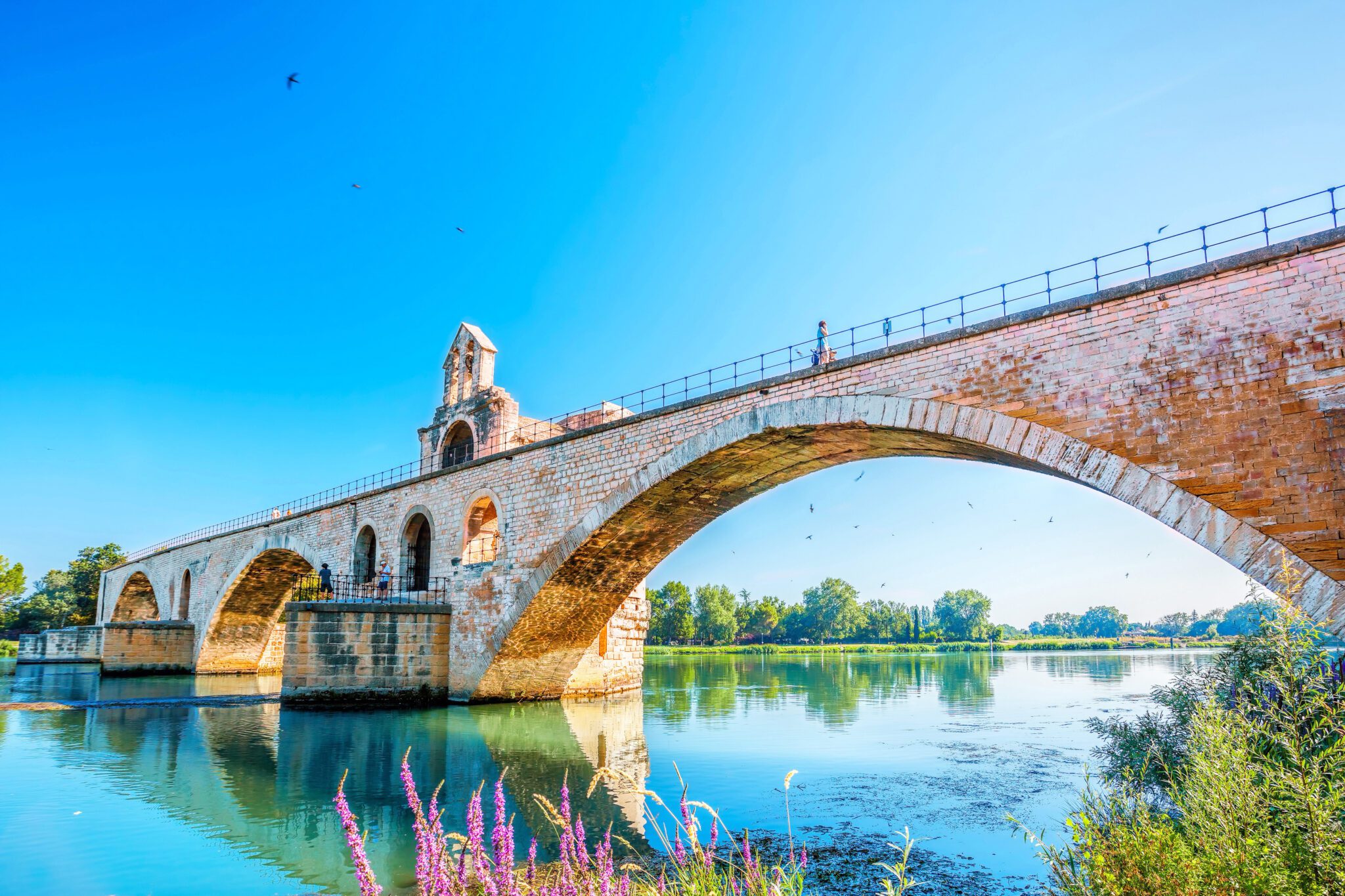 Avignon-2-2-scaled image