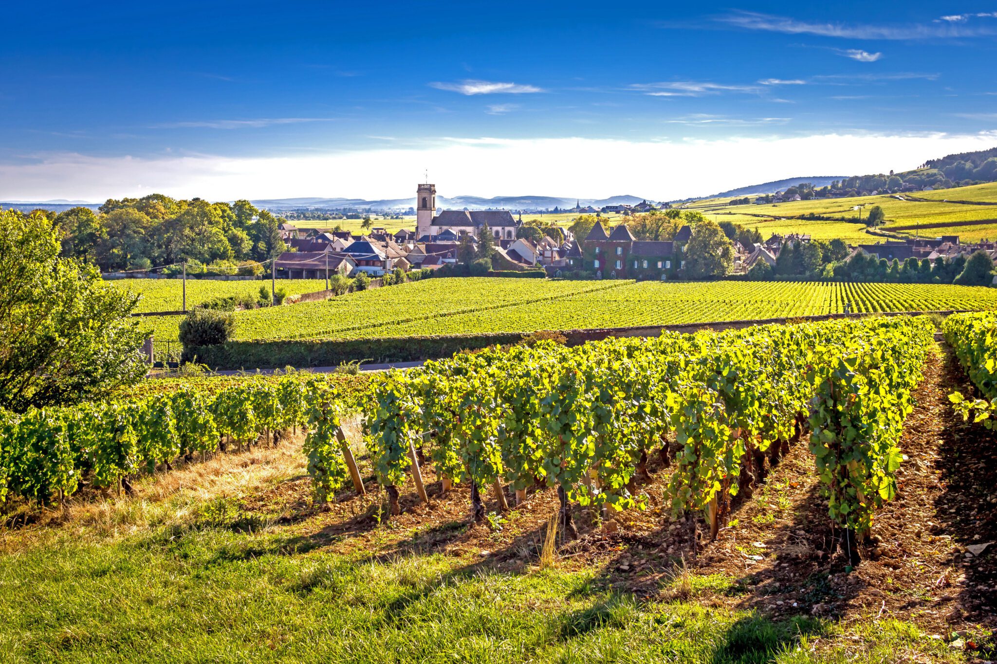 Beaune-3-scaled image