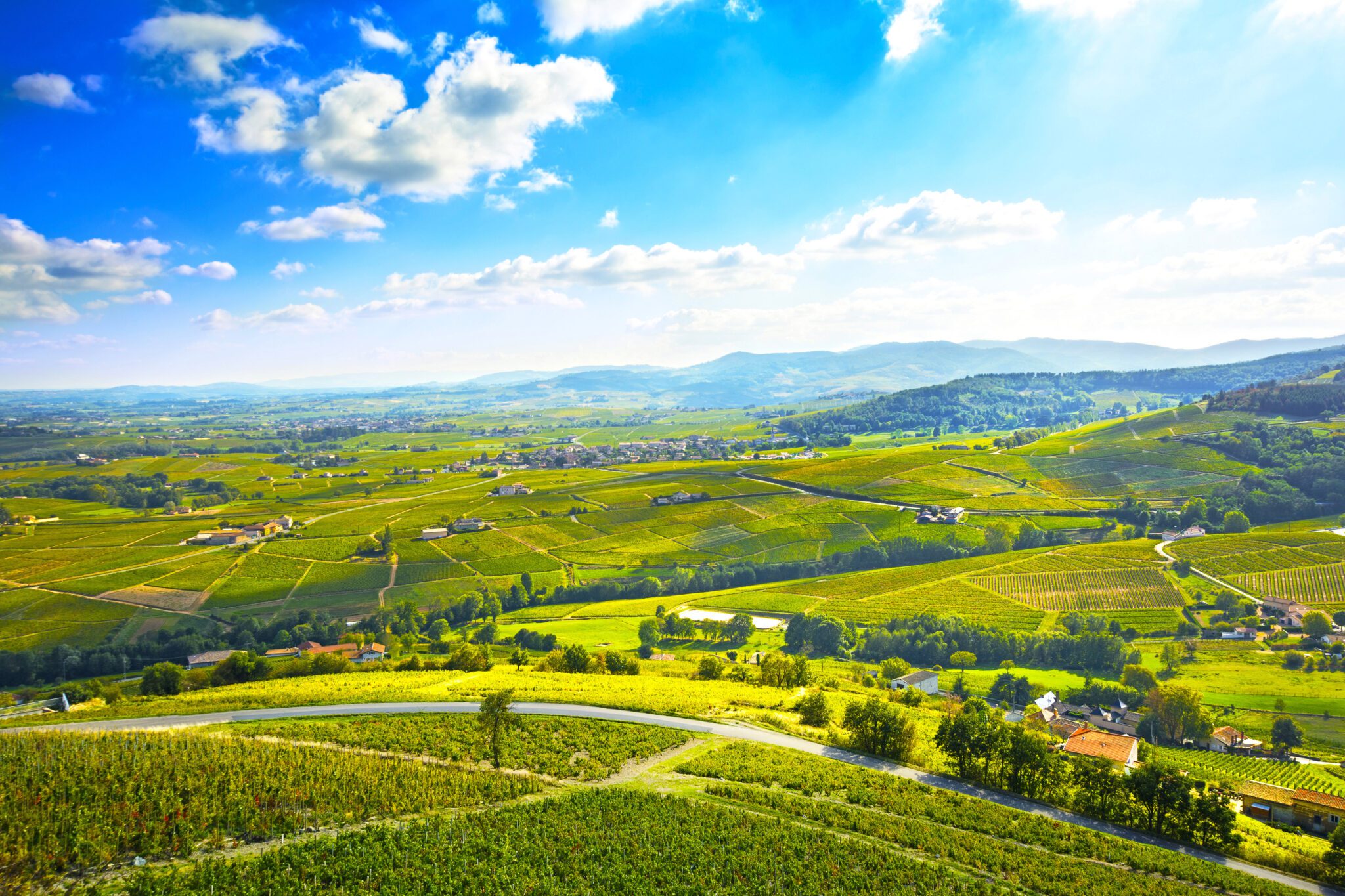 Provence-Road-2-scaled image